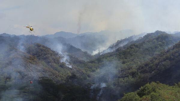 Hawaii wildfire destroys parts of rainforest home to fragile species